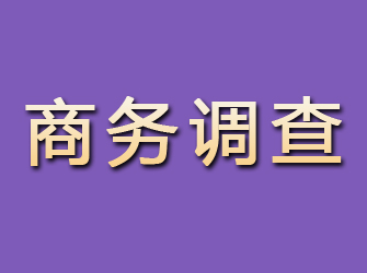 永修商务调查